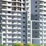 Profile picture of purvasilvers