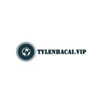 Profile picture of tylenhacaivip