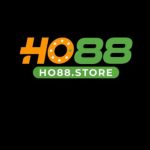 Profile picture of ho88store