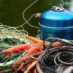 Profile picture of latracolva1975