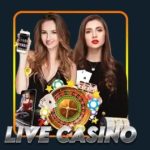 Profile picture of https://phpplay.info