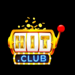Profile picture of hitclub79net