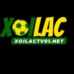 Profile picture of xoilactv01net
