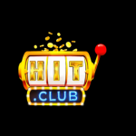 Profile picture of hitclub10net