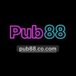 Profile picture of https://pub88.co.com/