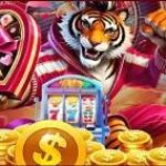 Profile picture of https://www-kuyajili.com