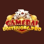 Profile picture of https://gamebaidoithuong.pro/