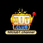 Profile picture of hitclub1channel