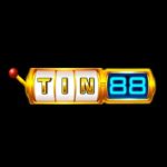 Profile picture of tin88aorg