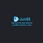 Profile picture of jun88j