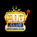 Profile picture of hitclub01club