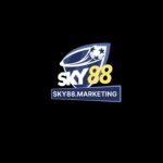 Profile picture of hungsky88m