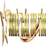 Profile picture of nhacaiuytinhow1