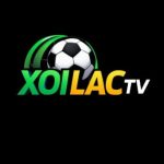 Profile picture of xoilactv6com