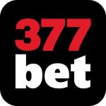 Profile picture of 377betviporg