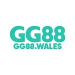 Profile picture of https://gg88.wales/