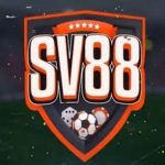Profile picture of sv88trade1