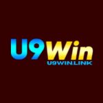 Profile picture of u9win