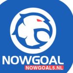 Profile picture of nowgoal5nl