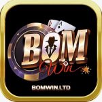 Profile picture of Bomwinltd