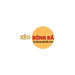 Profile picture of keobongda88org
