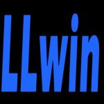 Profile picture of https://llwinvn.com/