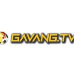 Profile picture of gavangtvwork