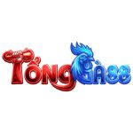 Profile picture of tongga88work