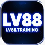 Profile picture of lv88training