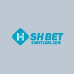 Profile picture of Shbet2026com