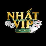 Profile picture of nhatvipreview2