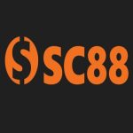 Profile picture of zbfsc888com