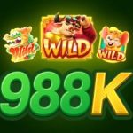 Profile picture of 988kbrcom