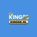 Profile picture of king88nl