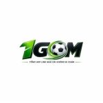 Profile picture of 1Gomsjpnet