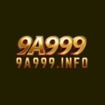 Profile picture of A defining feature of 9A999 is its collection of Mind-blowing visuals games, which elevate entertainment through breathtaking artistic design and advanced visual presentation. Website: https://9a999.info