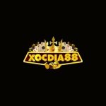 Profile picture of Xocdiadoithuong88com