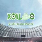 Profile picture of xoilacxtltv