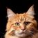 Profile picture of plasaracab1975