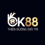 Profile picture of OK88COCOM