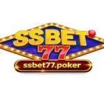 Profile picture of ssbet77poker