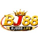 Profile picture of bj888life