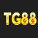 Profile picture of tg88vnonline