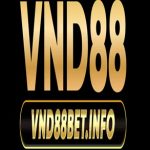 Profile picture of vnd88betinfo