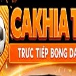 Profile picture of cakhiatvbond1