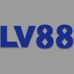 Profile picture of lv88boston1